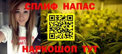 шишки Дубна