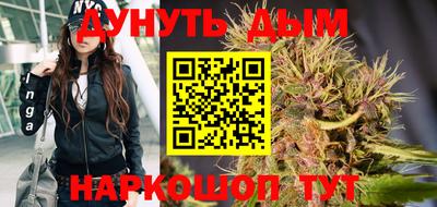 шишки Дубна