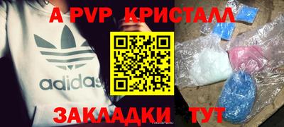 шишки Дубна