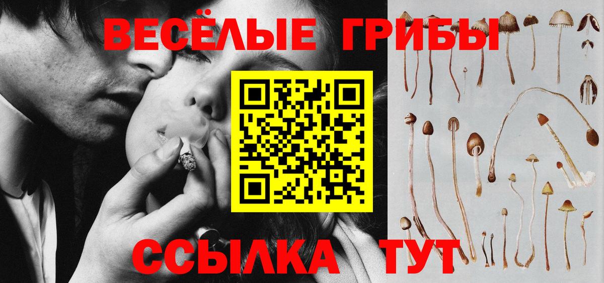Псилоцибиновые грибы мицелий Кемерово